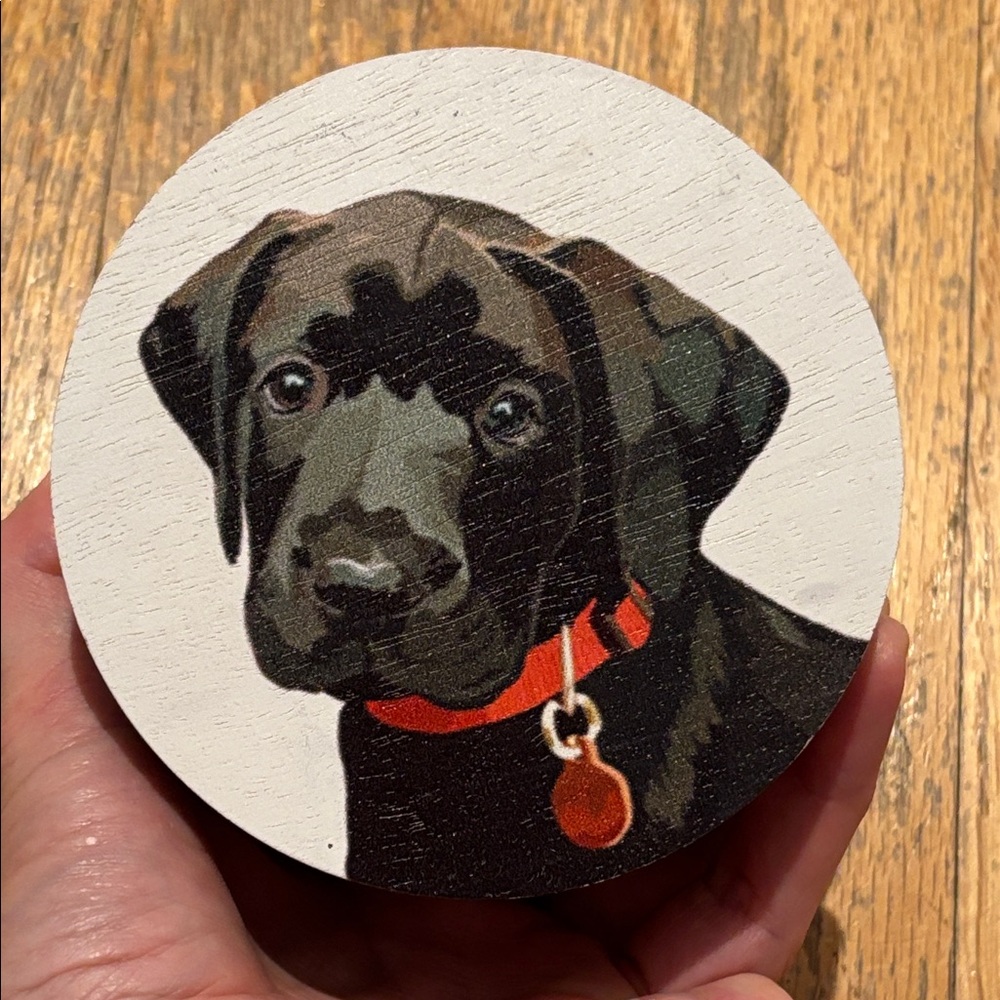 NWT Sand + Paws Black Labrador 2 wick candle - Mahogany & Teakwood